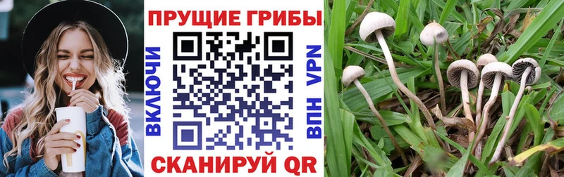 Купить закладки  Ялта  Галлюциногенные грибы мицелий